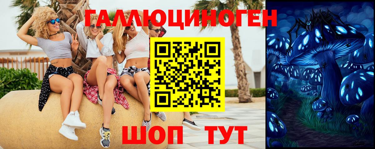 Псилоцибиновые грибы Psilocybine cubensis  Вход с VPN  Кольчугино 